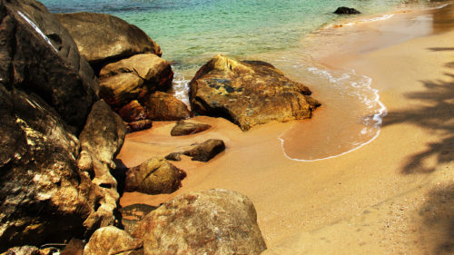 elsewhere beach cove